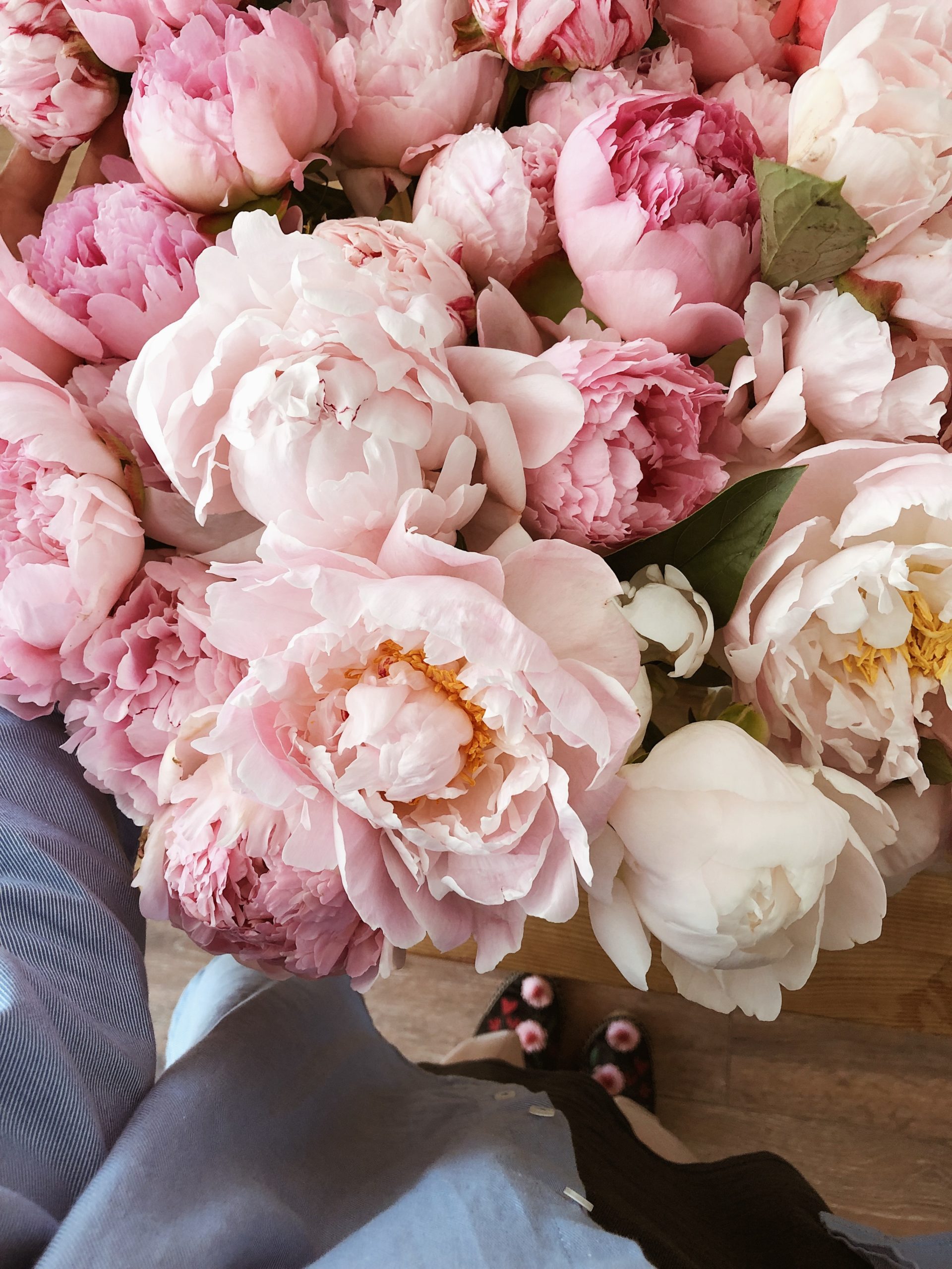 Photo by Secret Garden: https://www.pexels.com/photo/delicate-flower-bouquet-of-roses-and-peonies-2879827/