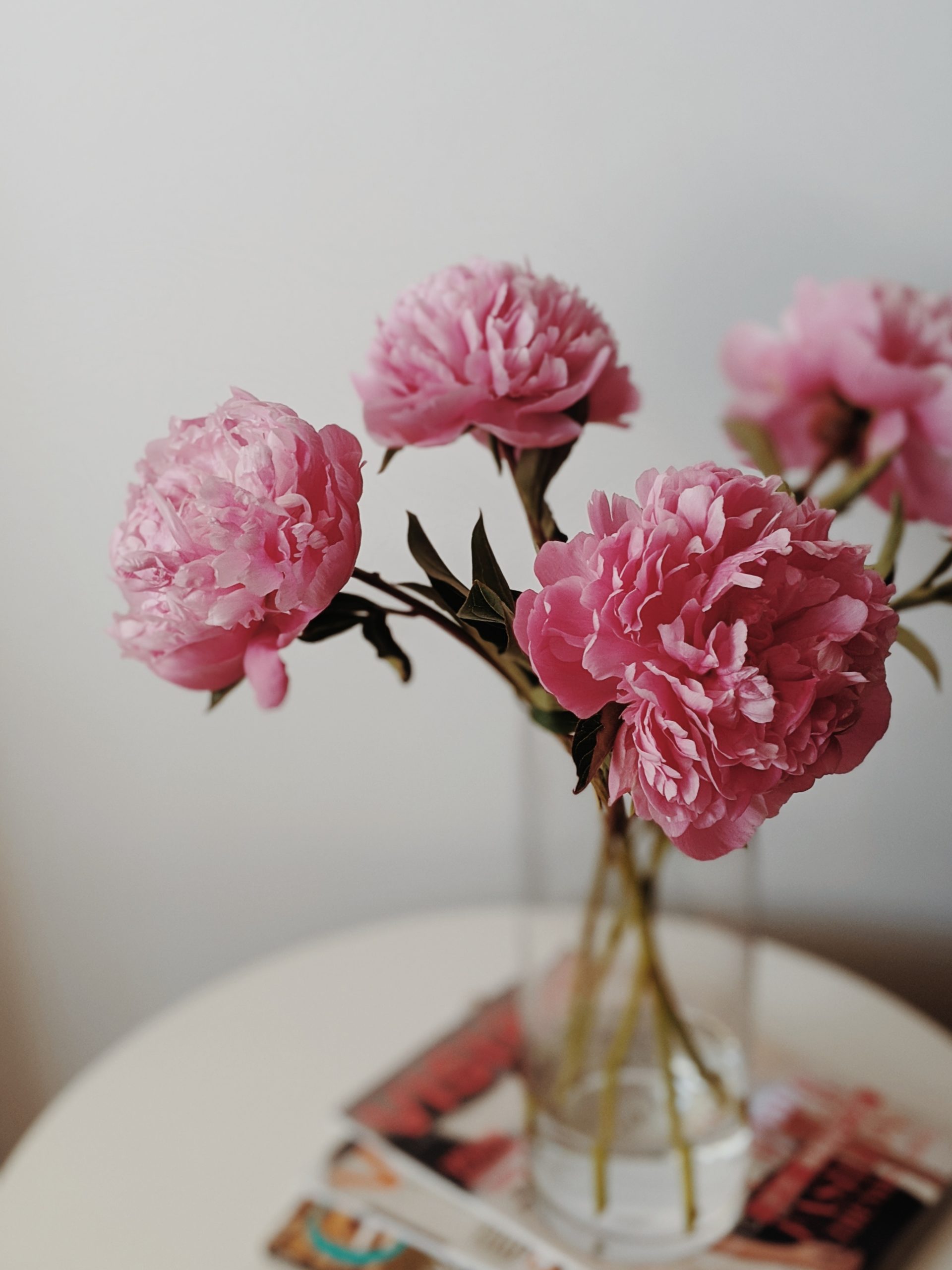 Photo by Valeriia Miller: https://www.pexels.com/photo/pink-flowers-in-clear-glass-vase-3579443/