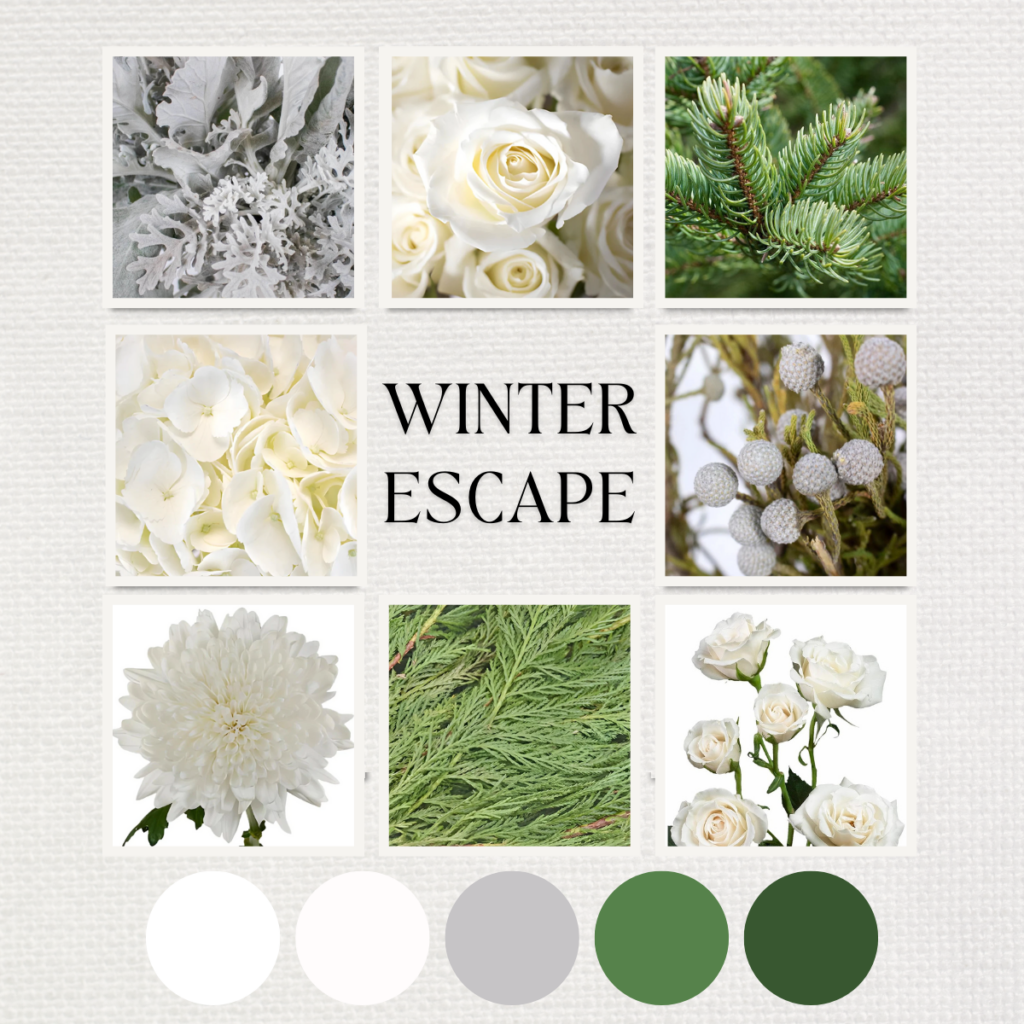 Winter Escape Color Palette - Just Bloom'd Weddings, Wedding Florist in Sudbury, MA.