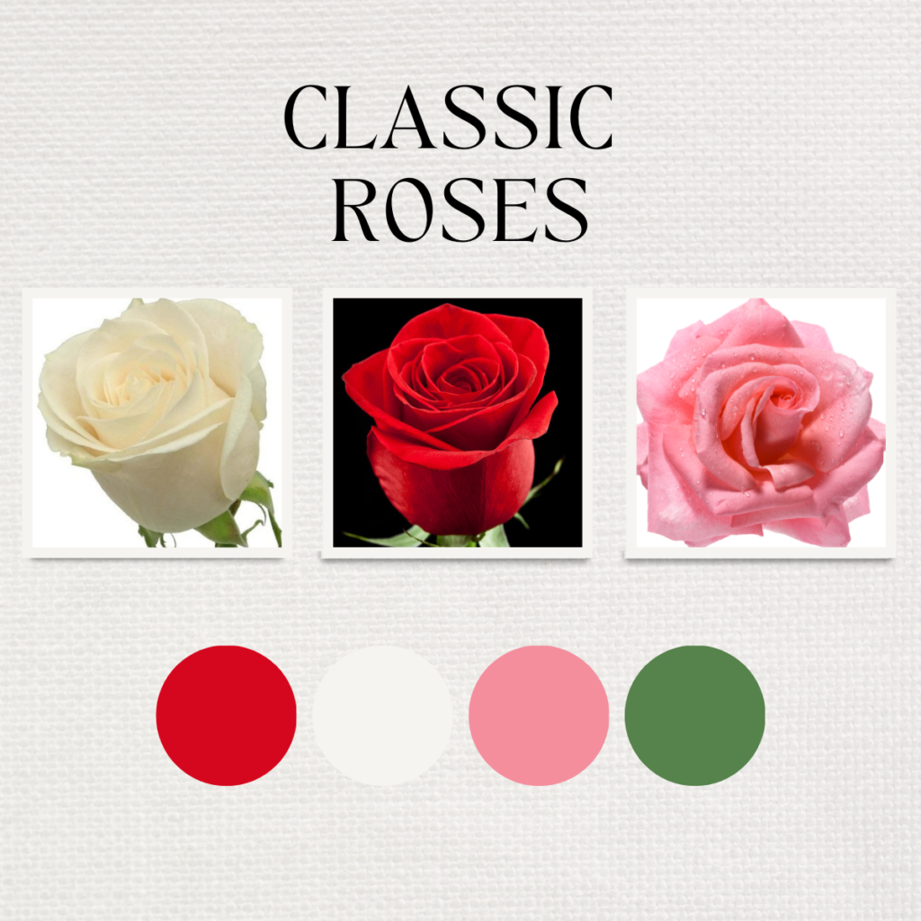 Classic Roses Color Palette - Just Bloom'd Weddings, Wedding Florist in Sudbury, MA.